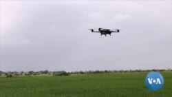 Farmers in Ghana Using Drones for Pest, Disease Surveillance