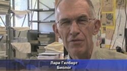 Борба на муви и мравки