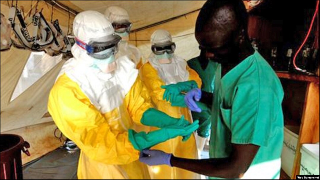Petugas kesehatan Arab Saudi melakukan tes atas beberapa sampel pasien yang diduga menderita ebola (9/8).