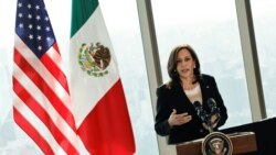 FILE - U.S. Vice President Kamala Harris delivers remarks during a press conference at the Sofitel Mexico City Reforma hotel in Mexico City, June 8, 2021.