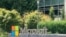 Microsoft's corporate headquarters in Redmond, Washington. (Photo: Diaa Bekheet)