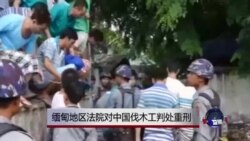 缅甸地区法院对中国伐木工判处重刑