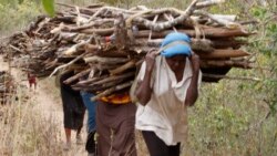 Kambe Amalungelo Abesifazana Yiwo Enza Ukuthi Bengaguqeli Abesilisa Na?