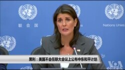 黑利：美国不会在联大会议上公布中东和平计划