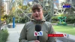 پیشنهاد بازخرید مایکروسافت برای ۶۰ هزار کارمند