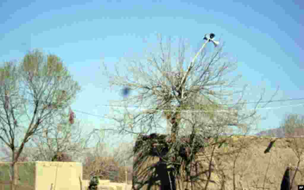 Speaker placed in a tree carries the Muezzin's call, March 8, 2011