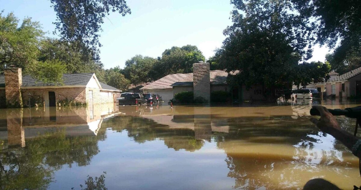 houston tx hurricane harvey woman jumps bac into water Nearly a Year Later, Many Struggle to Recover From NAD+ / MOTS-C /