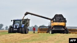 FILE - Grain is moved from a combine harvester into a trailer in the village of Mala Divytysa, Chernihiv region, Ukraine, during a harvest from a few years ago.