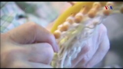 Ông lão 91 tuổi, 15 năm đan mũ cho người nghèo