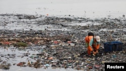 FILE - A worker collects garbage, most of which is plastic and domestic waste, along the shore of Jakarta, Indonesia, June 8, 2023. 