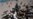 Canine Shelter Takes on Tehran Stray Dog Problem — Humanely