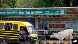 A stray cow walks past a bus stop in Allahabad, India, May 29, 2017