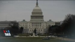 اخبار شامگاهی