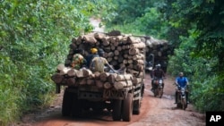 FILE - Loggers transport timber inside the Omo Forest Reserve in Nigeria on Wednesday, Aug. 2, 2023.