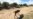 Zimbabwe Looks to the Sun as Drought Hits Hydropower