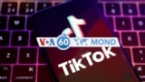 VOA 60 Tiktok