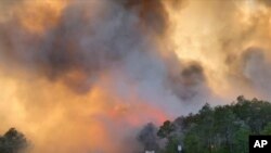 In this image made from video taken May 6, 2020 by the Florida Department of Agriculture and Consumer Services, fire and smoke rise from trees alongside a road in Santa Rosa County, Florida.