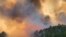 In this image made from video taken May 6, 2020 by the Florida Department of Agriculture and Consumer Services, fire and smoke rise from trees alongside a road in Santa Rosa County, Florida.