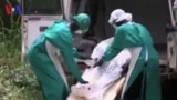 Tratamento Ébola: Médicos revelam factores-chave