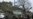Hostages Safe After Texas Synagogue Standoff; Captor Dead