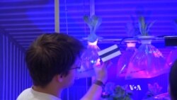 What to Do With an Empty Container Ship? Grow Food