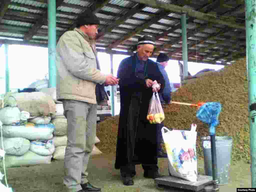 Sovuq kunlarda qoramollar uchun eng yaxshi ozuqa kunjara yemi.