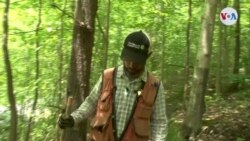 AMBIENTE: Salvando bosques y empleos