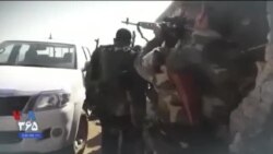 اخبار شامگاهی