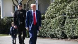 Presiden AS Donald Trump bersama CEO Tesla Elon Musk tiba di halaman selatan Gedung Putih di Washington, pada 11 Maret 2025. (Foto: Pool via AP)