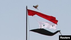 FILE - A bird flies near a torn Syrian national flag in the city of Qamishli, Syria, April 21, 2016.