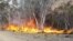 Trees are engulfed in flames as a bushfire spreads in Adaminaby, New South Wales, Australia, January 9, 2020, in this still image from a video obtained from Ingleside Rural Fire Service.