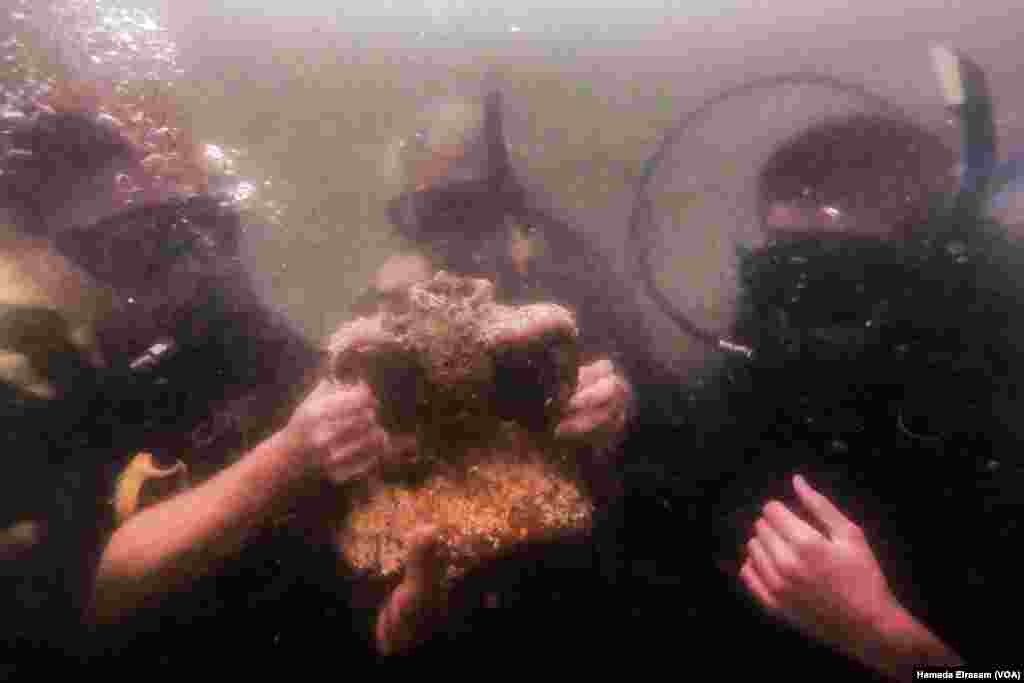 Divers hold an ancient amphora found among the ruins of the sunken palace. The sprawling ancient complex was the setting of dramatic episodes between Egypt’s last Greek-speaking queen, Cleopatra, and Mark Antony, the Roman general she seduced before the c