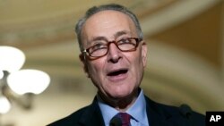 FILE - Sen. Charles Schumer, D-N.Y., speaks to the media on Capitol Hill in Washington. 