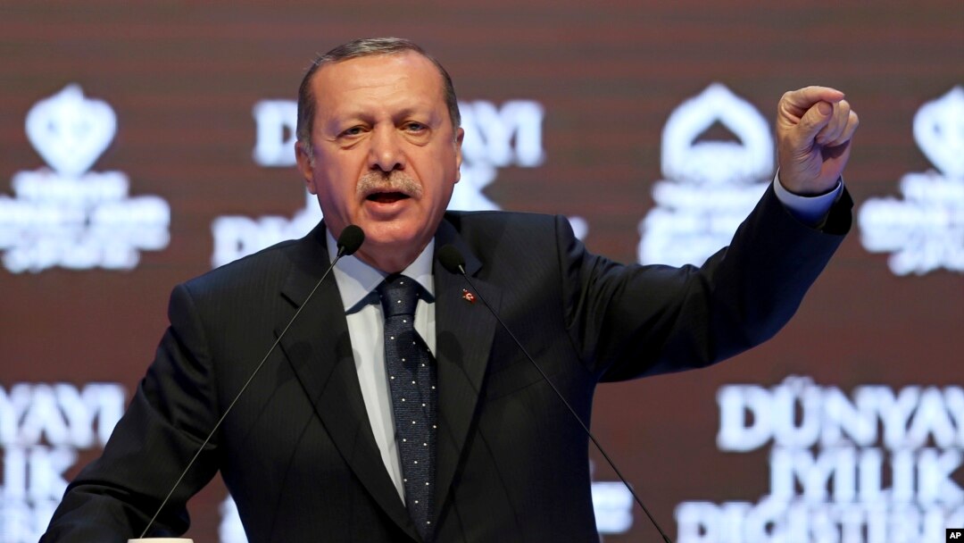 Tổng thống Thổ Nhĩ Kỹ Erdogan phát biểu tại mít tinh ở Istanbul, 12/3/2017. 