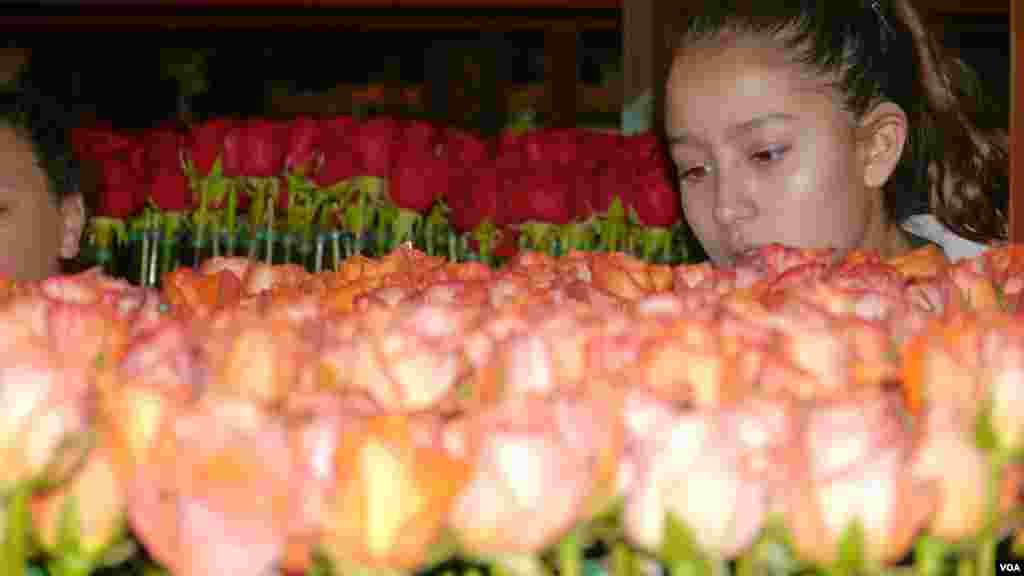 义工检视待用玫瑰