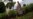 Petani Malawi Manfaatkan Air Seni Manusia untuk Pupuk Tanaman