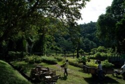 Maria Coelho Morais, well known as Graca, delivers the growing trees, that she planted, to the ONG Golden Lion Tamarin Association in Silva Jardim, Brazil, April 16, 2019.