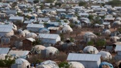 Manii murtii Keneyaa akka Kaambiin baqaa Dhadhaab hin cufamne hajajee mootummaan ammoo oli iyyachuuf