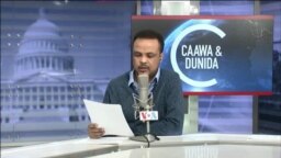 Caawa iyo Dunida