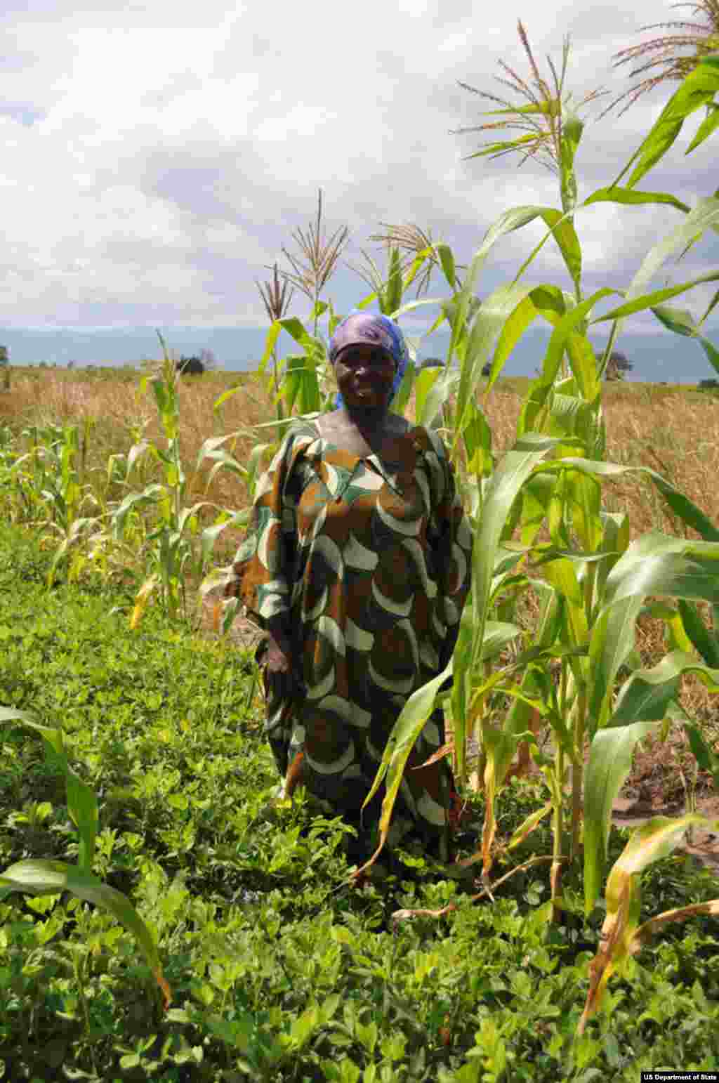 Congo Farmer standing in demonstration plot of maize and groundnuts in Kigurwe Democratic Republic of the Congo photo credit: Jessica Hartl, USAID 