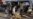 Iraq Blast Kills 11