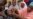 Nigeria Polio Vaccination Kicks Off Amid Insecurity