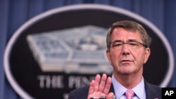 El secretario de Defensa, Ash Carter, resaltó la experiencia del yihadista Sanafi al-Nasr, muerto en un bombardeo estadounidense.