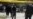 Cairo Blast Kills 6 Police Officers