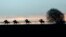Racehorses galloping in the early morning at Upper Lambourn, southern England