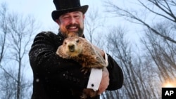 FILE - Groundhog Club handler A.J. Dereume holds Punxsutawney Phil, the weather predicting groundhog, during the 135th celebration of Groundhog Day on Gobbler's Knob in Punxsutawney, Pennsylvania Feb. 2, 2021. (AP Photo/Barry Reeger)