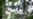 Amazon Canopy Hides Secret to its Evolution