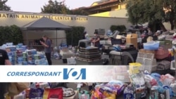 Correspondant VOA : l'aide aux sinistrés de Los Angeles