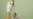 Brazilian Researchers Develop Vaccine to Fight Cocaine Addiction