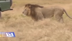 პლანეტის ბიო-მრავალფეროვნება საფრთხეშია